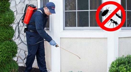 Kemah Bit İlaçlama böcek ilaçlama ve haşere kontrolü — ilaclama-tr.com